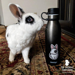 Printed vinyl stickers