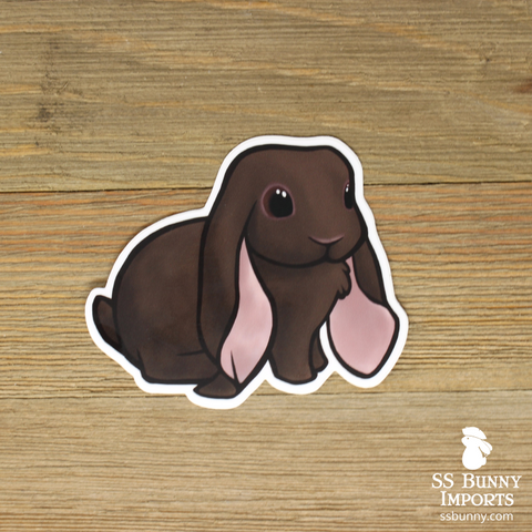 Chocolate English Lop rabbit sticker