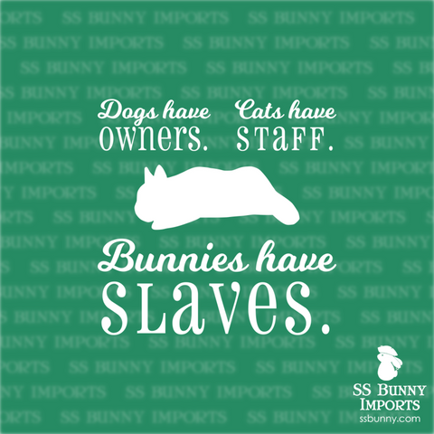 Dogs have owners, Cats have staff, Bunnies have slaves decal - dwarf