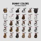 Single bunny print - existing rabbit design, custom name