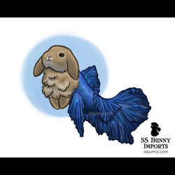 10x8 Betta fish lop merbun print