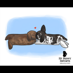 10x8 Bonded lops nose boop print