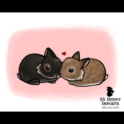 10x8 Sesame & Mochi print