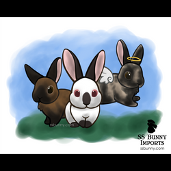 10x8 trio with angel harlequin print