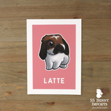 Single lop rabbit print - customized color
