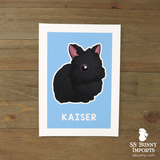 Single lionhead rabbit print - customized color