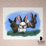 10x8 trio with angel harlequin print