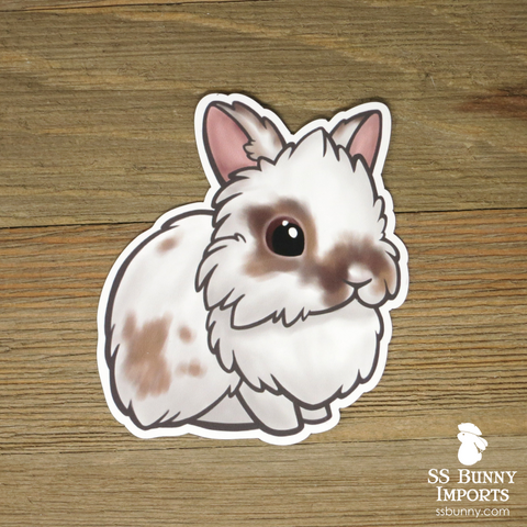 Broken chocolate tort lionhead rabbit magnet