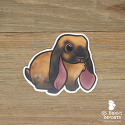 Black tort English Lop rabbit sticker