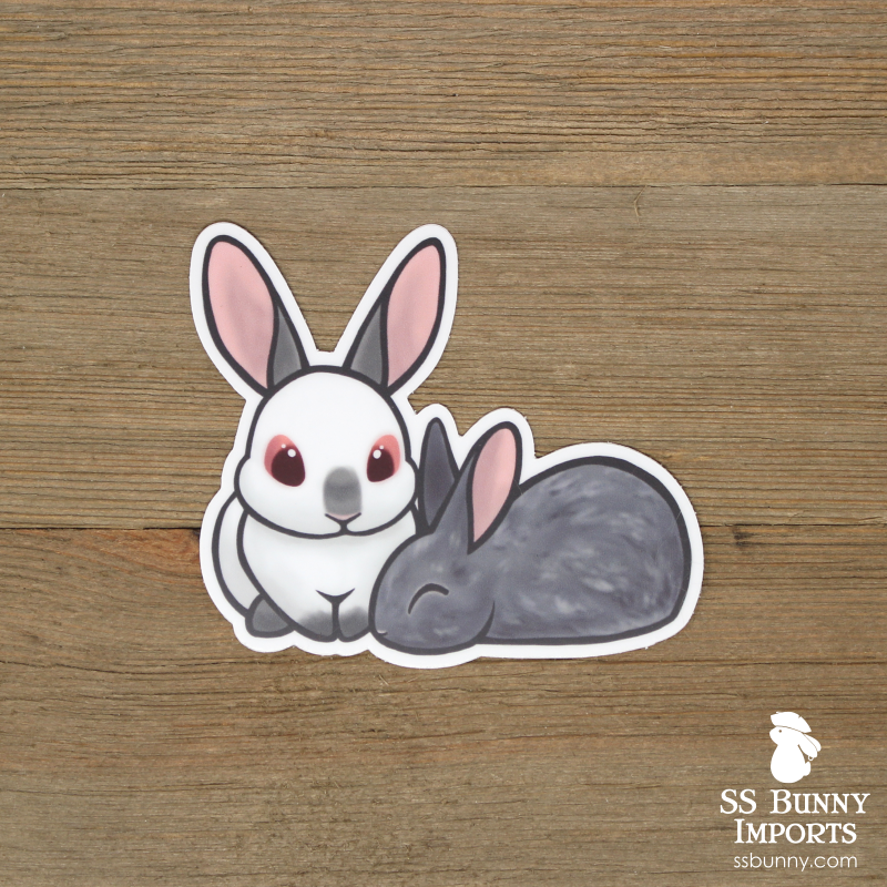 Rabbit Stickerᕱᘏ ゛専用 Chinchilla Lionhead Rabbit Sticker; Cute Gray Lionhead Bunny