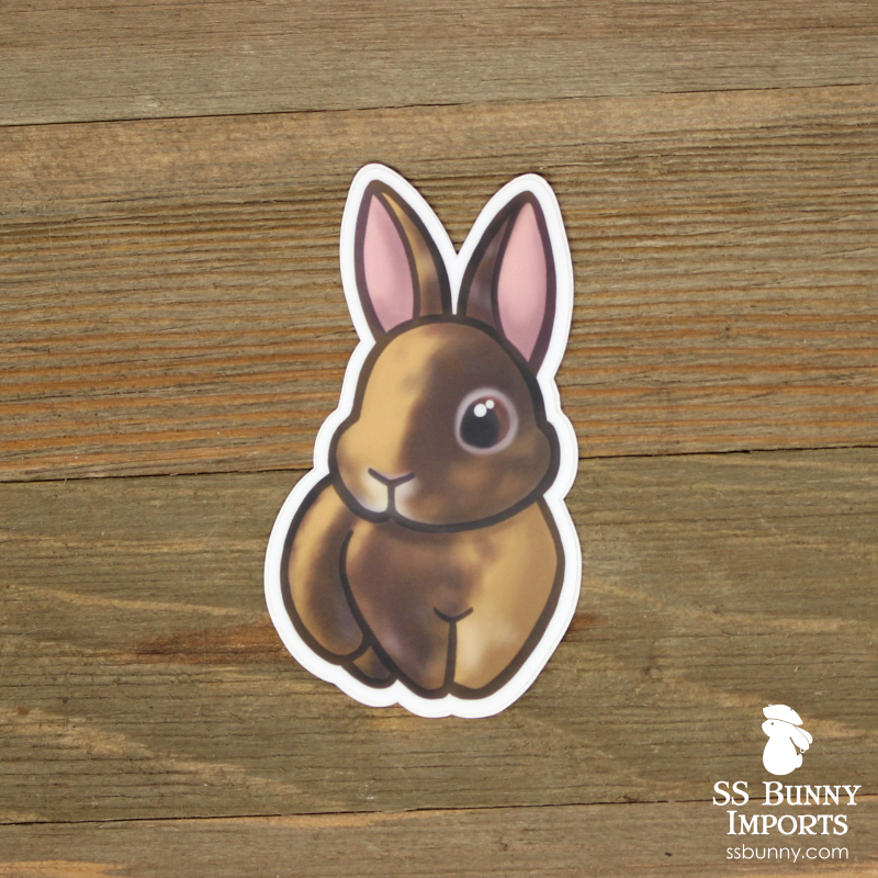 Rabbit Stickerᕱᘏ ゛専用 Chocolate Japanese harlequin rabbit sticker – SS Bunny Imports