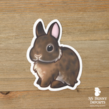 Custom 5x dwarf rabbit vinyl stickers