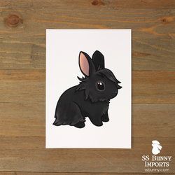 5x7 Black lionhead print