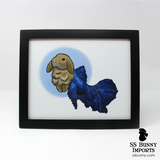 10x8 Betta fish lop merbun print