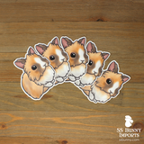 Custom 5x lionhead rabbit vinyl stickers