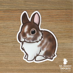 Broken blanket agouti dwarf bunny sticker