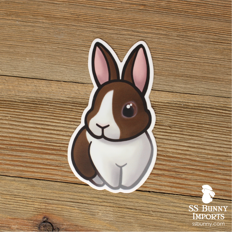 IMG_7329_1024x1024.png?v=