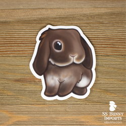 Chocolate otter lop sticker