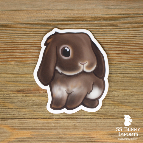 Chocolate otter lop sticker