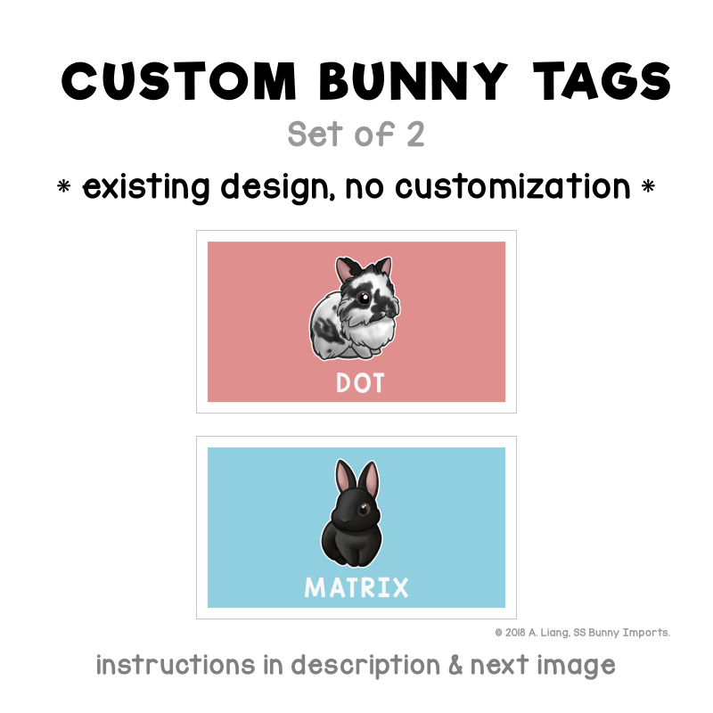 Custom Bunny Rabbit Name Stamp  Custom Personalized Name Animal