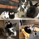 Black pom pom bunny