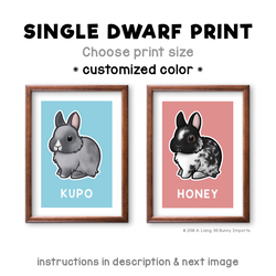 Single dwarf rabbit print - customized color