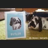 Single bunny print - existing rabbit design, custom name
