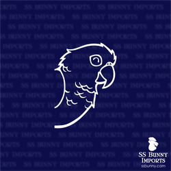 Happy peeking conure decal