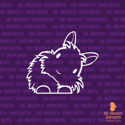 Peeking head tilt lionhead rabbit decal