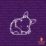 Peeking head tilt lionhead rabbit decal