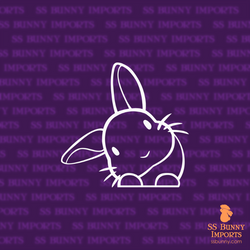 Peeking head tilt rabbit decal