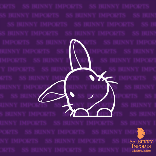 Peeking head tilt rabbit decal