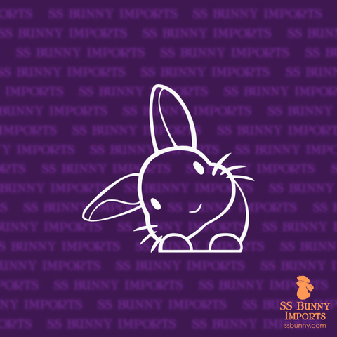 Peeking head tilt rabbit decal