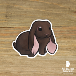 Chocolate English Lop rabbit sticker