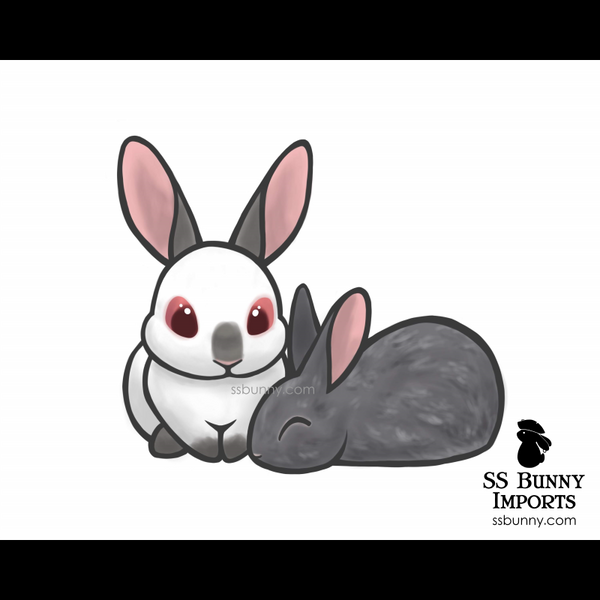 10x8-nova-moon_grande.png?v=