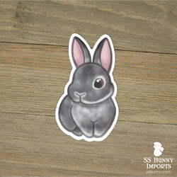Chinchilla rabbit sticker