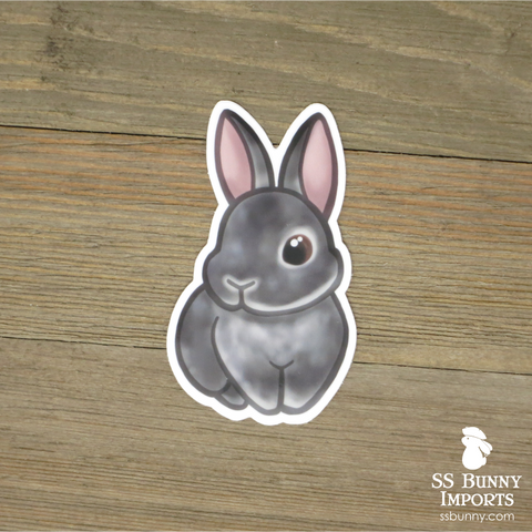 Chinchilla rabbit sticker