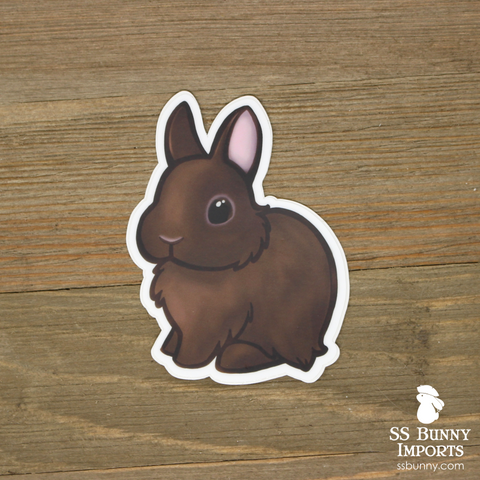 Chocolate dwarf rabbit sticker
