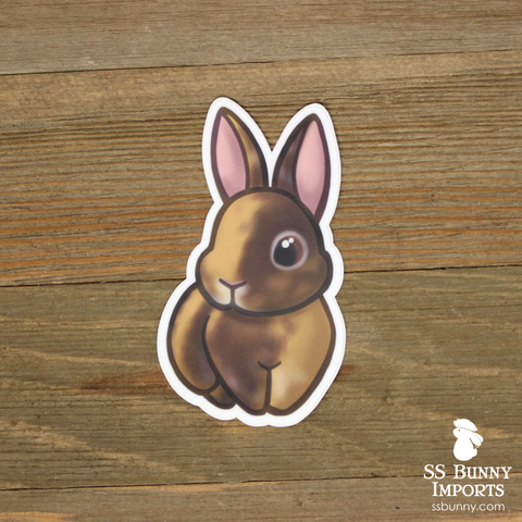 Chocolate Japanese harlequin rabbit sticker