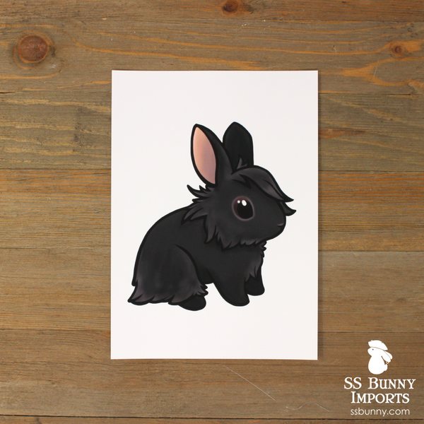 5x7 Black lionhead print – SS Bunny Imports
