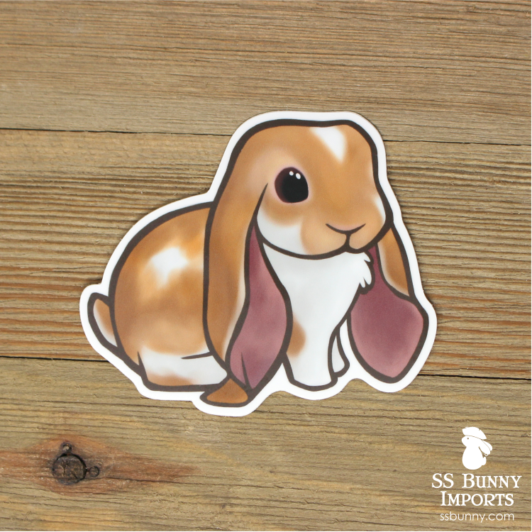 Broken orange English Lop rabbit sticker – SS Bunny Imports