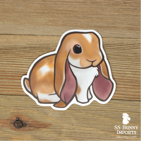 Broken orange English Lop rabbit sticker