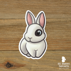 Charlie black bunny sticker - Hotot, blue-eyed