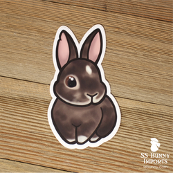 Agouti rabbit sticker - right, white nose, Tyrone