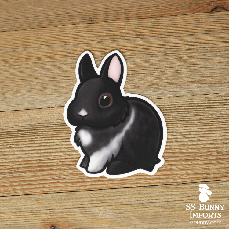 Black vienna-marked dwarf rabbit sticker, brown-eyed – SS Bunny Imports